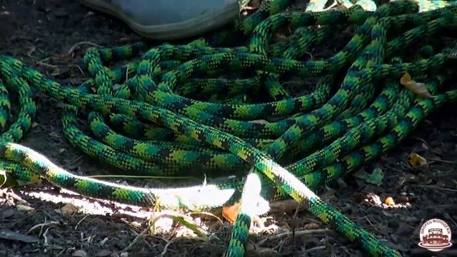 Соревнования по навыкам туризма 'Тропа испытаний' 8 августа 2014 Дворец Молодёжи смотреть онлайн