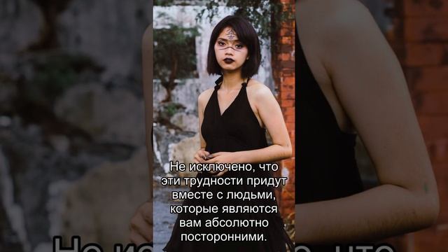 Сон дня: К чему снятся Шашки? смотреть онлайн