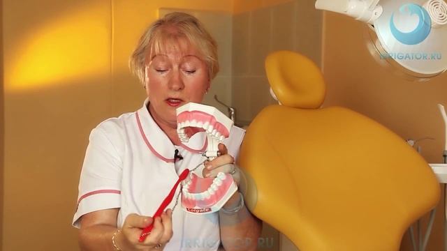 Как правильно чистить зубы? Советы стоматолога