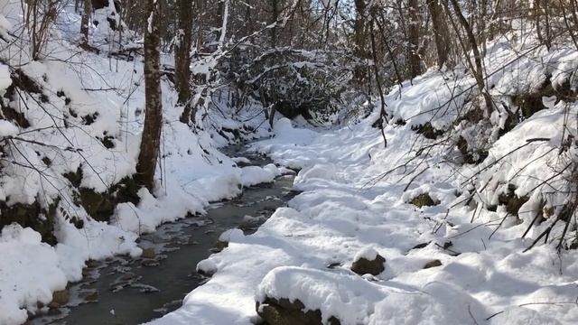 winter's tale relaxing music/зимняя сказка расслабляющая музыка