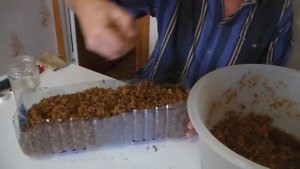 Часть 4 Виноград Настольная прививка Стратификация