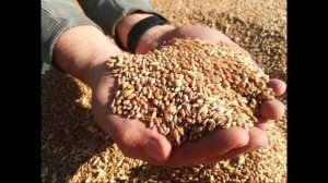 Почему доллар дорогой, а рубль такой дешёвый!