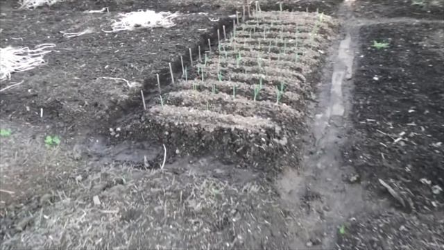 13-14 05 2021г на даче дача под Архангельском смотреть онлайн