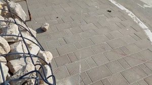 Прогулка по центральной улице.Одоев.Город расцветает