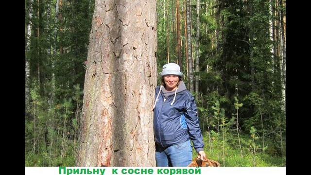 Бунин Детство смотреть онлайн