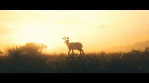 Концовка Смерть Артура Моргана в RDR2 / Ending Arthur Morgan's Death in RDR2