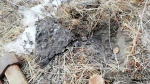 Коп 2019.По мерзлой земле. Приморский край...