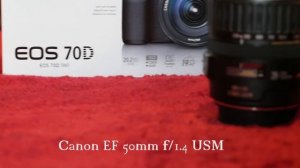 Canon EOS 70D Autofocus - Kit STM Lens vs 50mm f/1.4