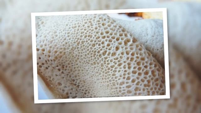 The Fear of Small Holes! Trypophobia смотреть онлайн
