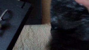 Коробочка для украшений своими руками за 10 минут.