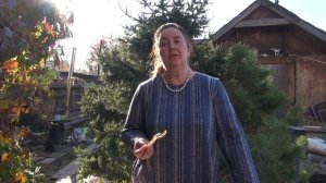 СТРУЧКИ ФАСОЛИ || Польза качество применение