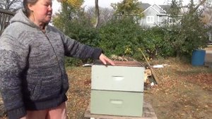 Как и когда менять рамки в пчелиной семье в улье Рута.