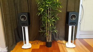 TANNOY GOLD 7