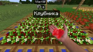 Посадил клубнику и купил трактор на ферме!