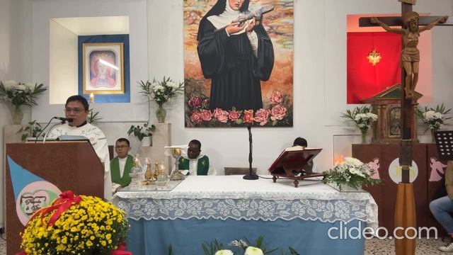 50 anni di vita смотреть онлайн