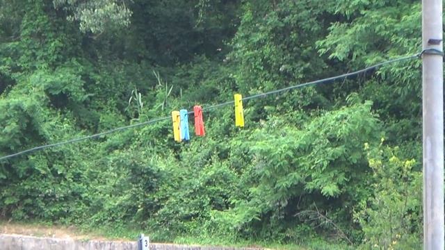 Sony HDR CX-280E | Prova Autofocus Automatico смотреть онлайн