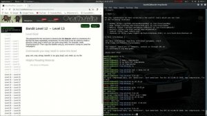 OverTheWire Bandit Level 0 to Level 20