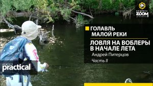 Голавль малой реки. Ловля на воблеры в начале лета. Андрей Питерцов. Часть 2. Anglers Practical