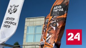 Награды от "Амурского тигра" и слова признательности биологам и волонтерам - Россия 24