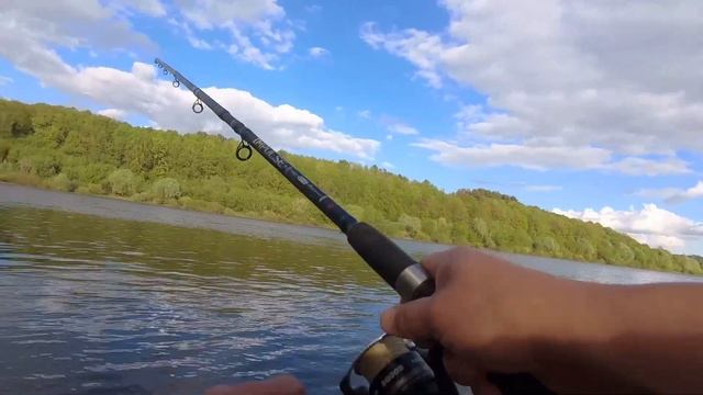 Чего хочет рыба? Ока Калуга май 2022 смотреть онлайн