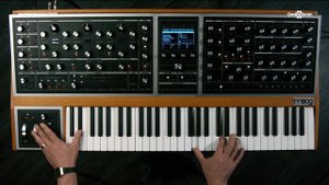 Moog ONE Polyphonic Analog Synthesizer, Demo one | Gear4music
