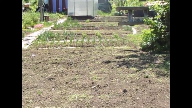 НК недвижимость продажа СНТ Ижсталь смотреть онлайн