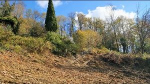 Продажа земли под виноградник в Крыму