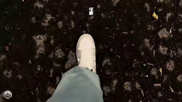 ЛИГА СИБИРИ 2022/23 ТУР 2 ФОРВАРД - БК СИБИРЬ смотреть онлайн