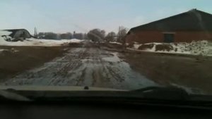 медвежьи какашки