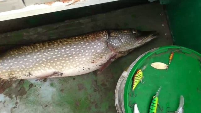 2018_Сосьва_18.09-23.09.18г..mp4