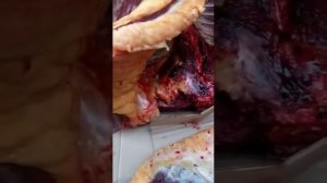 Лошадь 4 годолавая, убой на мясо.