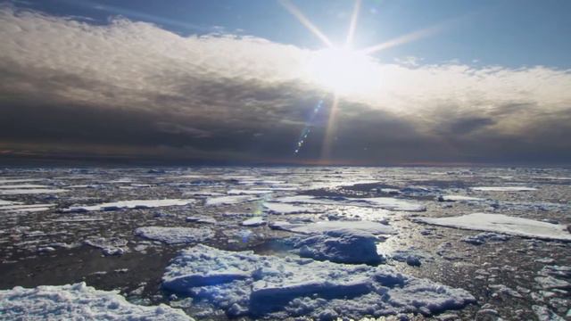 Дикая природа России смотреть онлайн