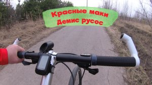 ЛЕТНИЕ ПОКАТУШКИ НА ВЕЛОСИПЕДЕ/СЛУШАЕМ КРАСНЫЕ МАКИ/ДЕМИС РУСОС