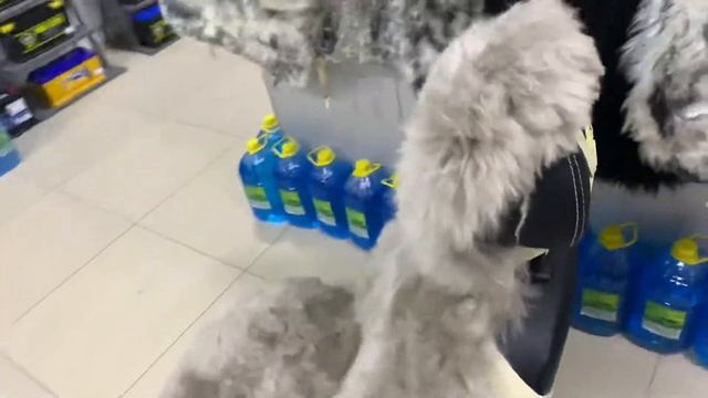 Меховая накидки из овчины, длинный ворс. смотреть онлайн