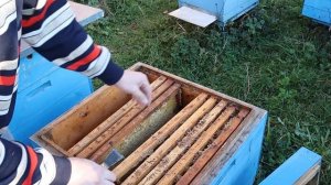 СУПЕР ВЕНТИЛЯЦИЯ УТЕПЛЯЕМ УЛЬЯ НА ЗИМУ, глухое дно...