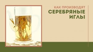 "Серебряные иглы" Бай Хао Инь Чжень