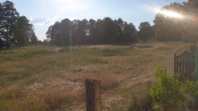 КУПИЛА ДОМ В ДЕРЕВНЕ / Вид из окна будущей кухни смотреть онлайн