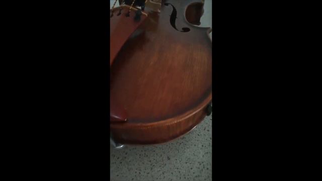 Adagio in G minor - T Albinoni (violino con orchestra) смотреть онлайн
