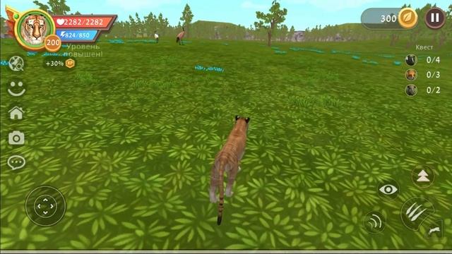 Мероприятие ЭЛИТНЫЕ ВРАГИ в Японскому лесу WildCraft смотреть онлайн