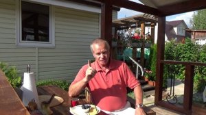 Голубика - надо ли ее выращивать? #Shorts