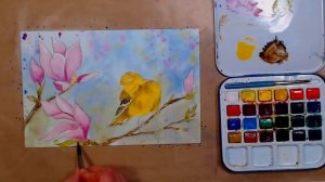 LIVE! Magnolia Branch & Yellow Bird 12:30pm ET