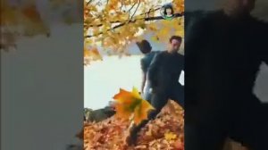 Падают листья...,ну и пусть,зато прозрачен свет...