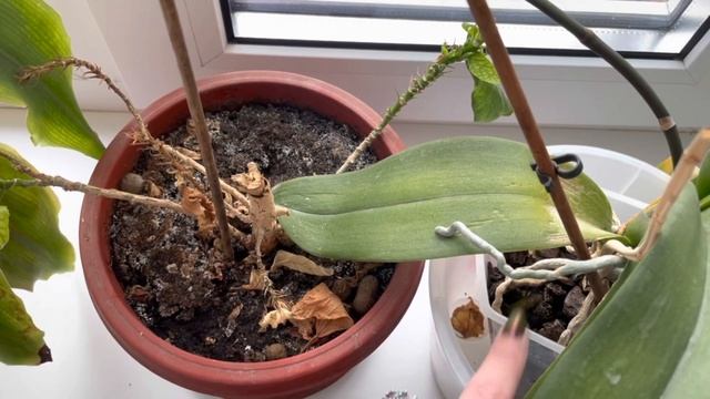 Пустые баночки за Март… и «дачный влог»))) смотреть онлайн