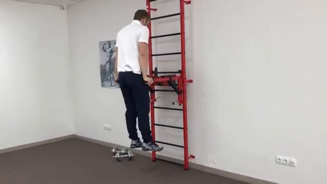 Применение Турник брусья с подвесом для штанги Антарес от бренда FLEXTER смотреть онлайн