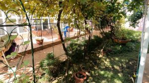 Черное море и Абхазия