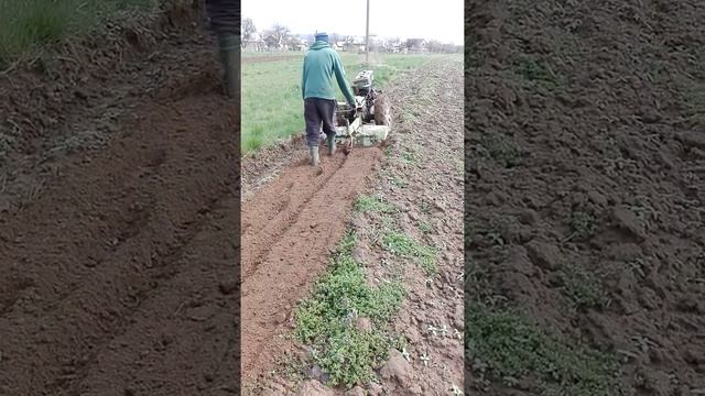 колеса р 15 на мотоблок фрезування города круто смотреть онлайн