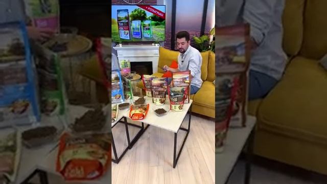 Sam’s Field. Веселый питомец — счастливый хозяин смотреть онлайн