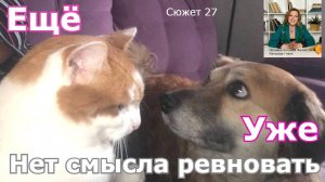 Я ревную. Как не сгореть в огне ревности?