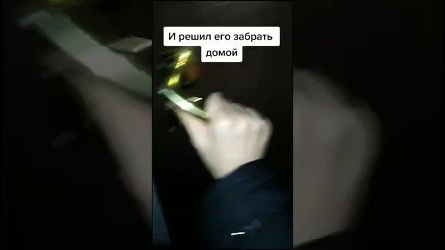 МУЖЧИНА СПАС КОТЁНКА, КОТОРЫЙ ЗАМЕРЗАЛ НА УЛИЦЕ / ПРИЮТИЛ КОТА / man saved kitten