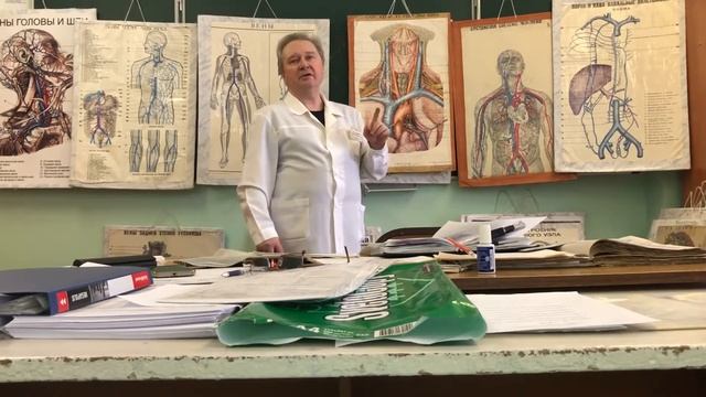 Венозная система смотреть онлайн